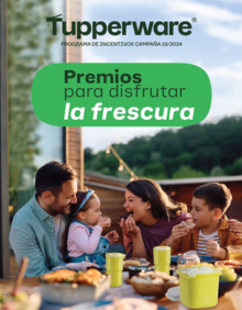 Programa de Incentivos