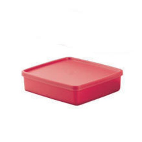 Tupperware Box 